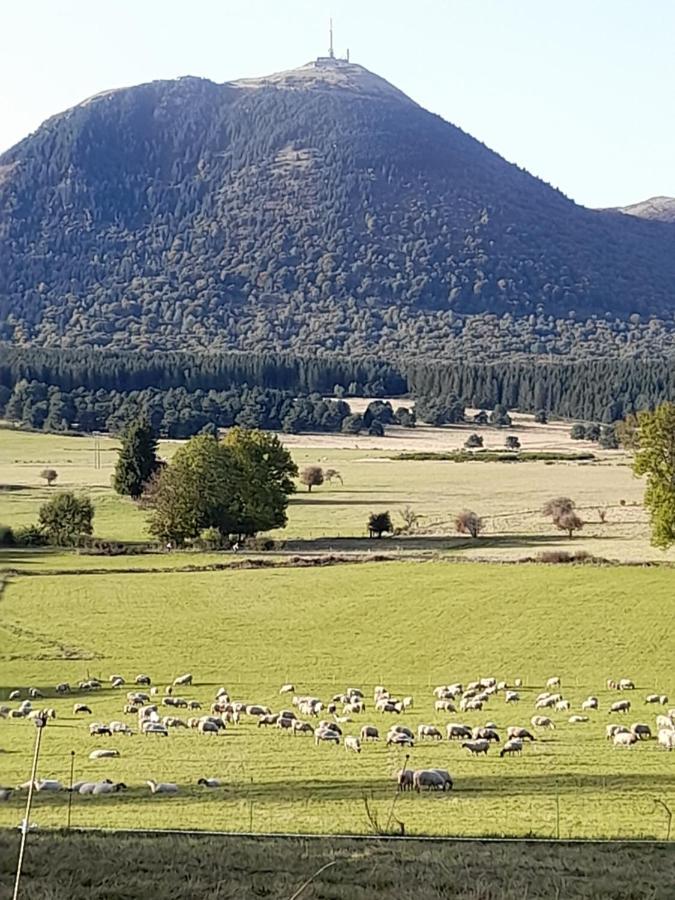A 5 Mns Du Puy De Dome Avec Vue Imprenable Studio Rez De Jardin 24M2 Neuf A Laschamps Saint-Genès-Champanelle Zewnętrze zdjęcie